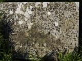 image of grave number 958733